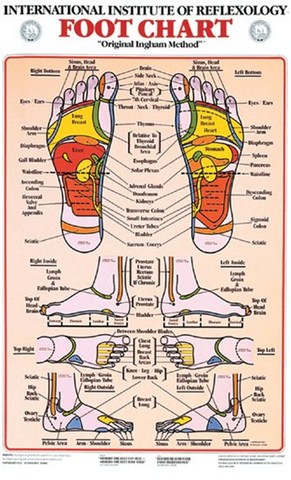 reflex isa : reflexologue plantaire